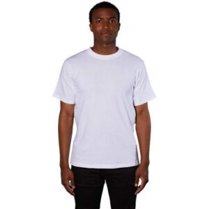 American Giant Heavy Weight Cotton Tee - Men's