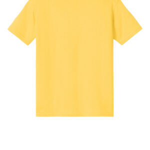 Gildan Youth Softstyle Midweight Tee 65000B